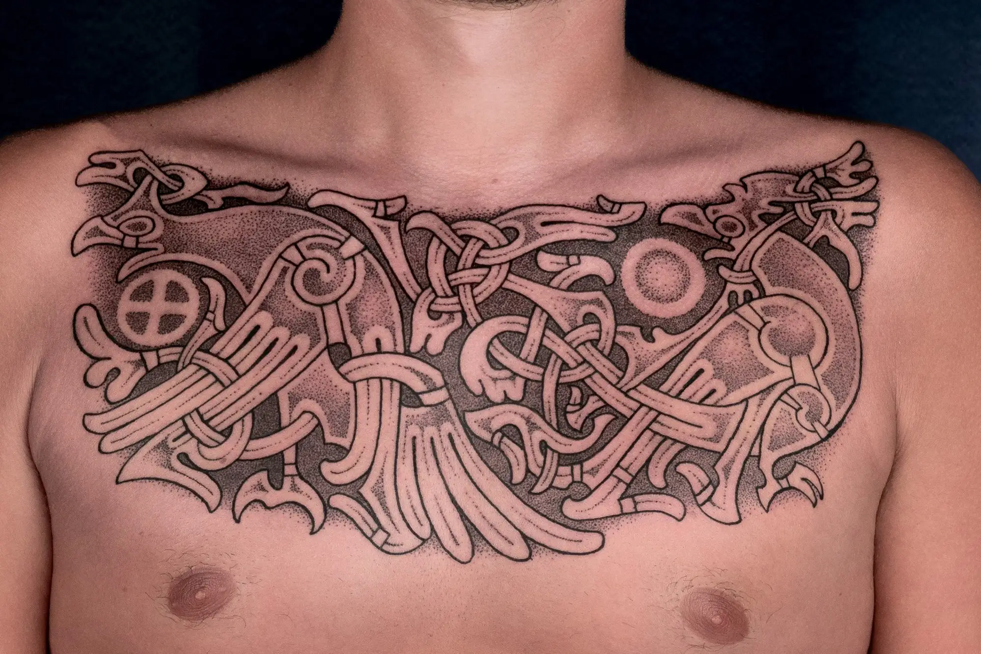 Großes, detailliertes Brusttattoo im nordischen Stil mit ineinander verschlungenen Raben und keltischen Knoten.